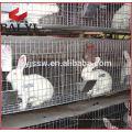 Fleisch und Layer Rabbit Cages Design